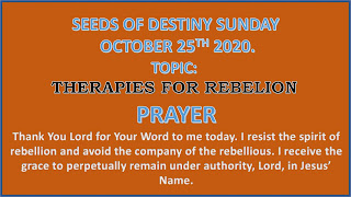 Seeds Of Destiny (SOD) Devotional, 25 October 2020 – Therapies For Rebellion